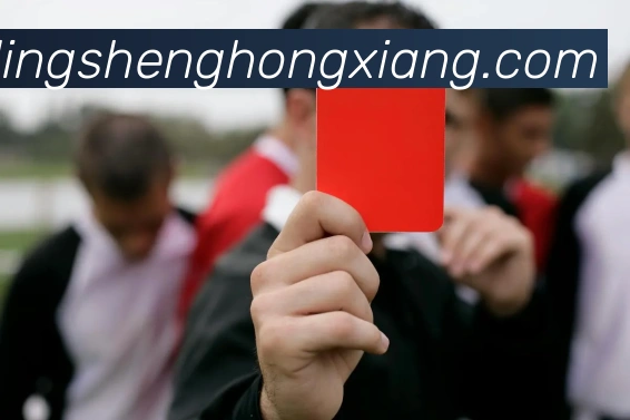 球友会官网发展历程